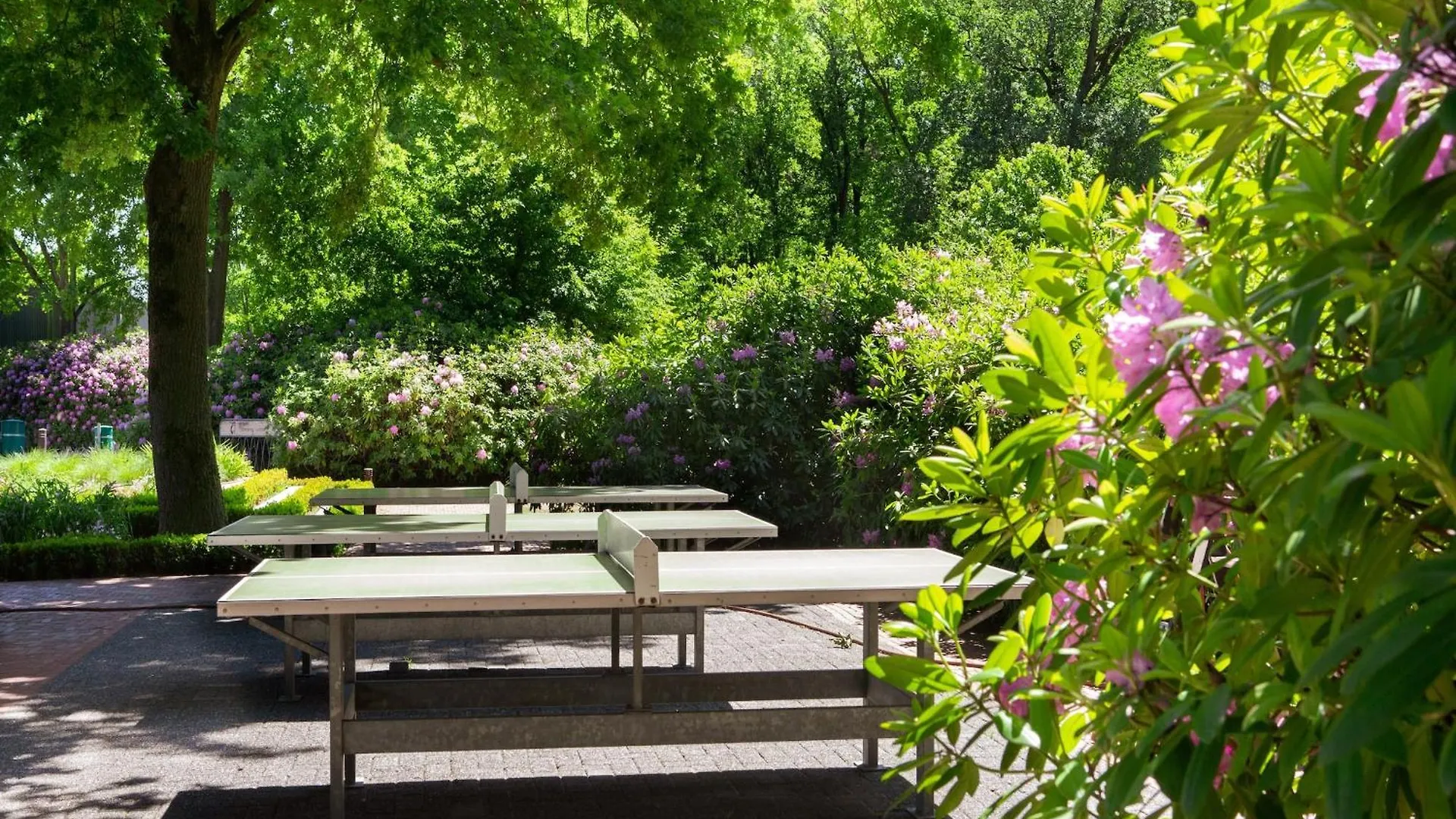 Beautiful Lodge With Sauna, Located In A Holiday Park In Brabant Oirschot